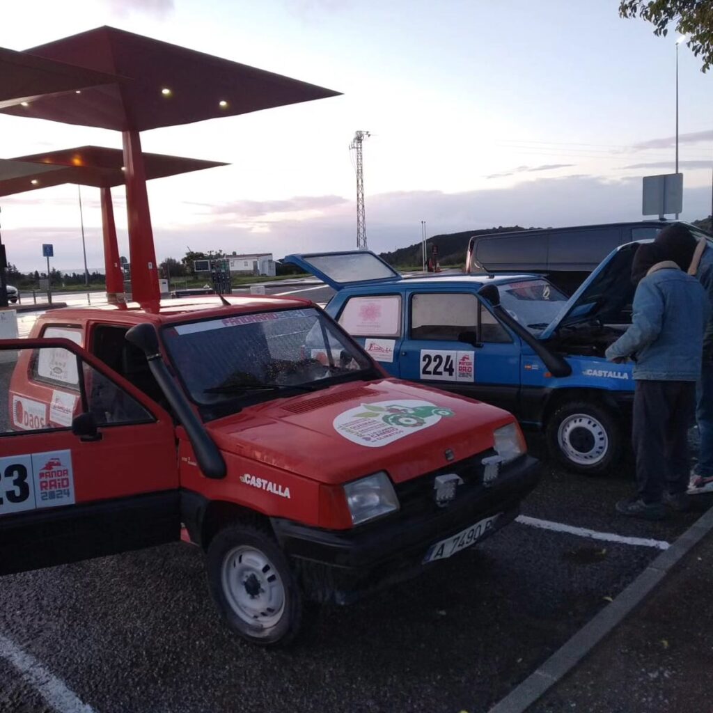 Instagram post from pandaraid24. This post is in position 14.