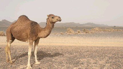 Instagram post from pandaraid24. This post is in position 19.