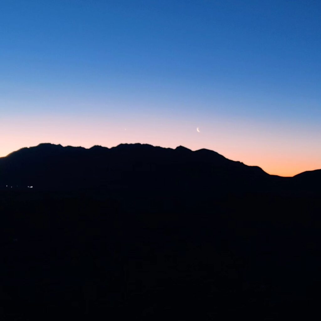 Instagram post from pandaraid24. This post is in position 17.