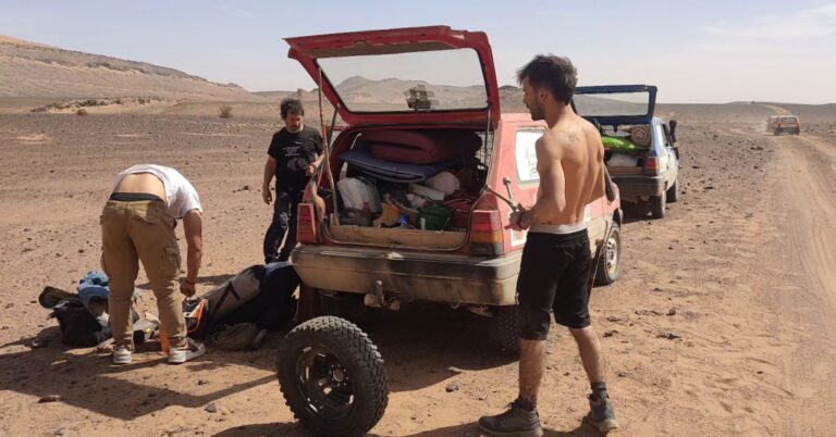 Instagram post from pandaraid24. This post is in position 11.