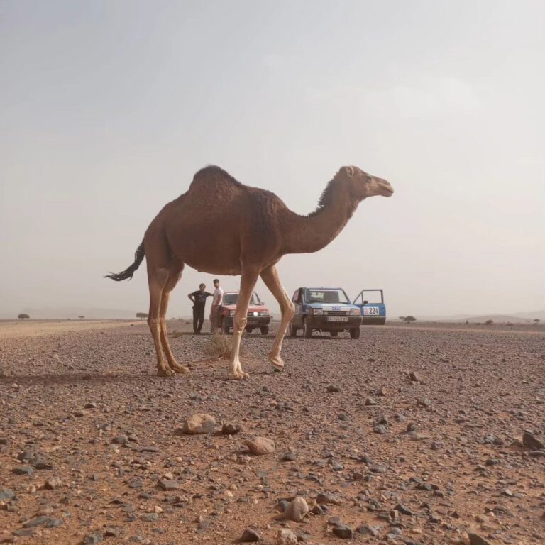 Instagram post from pandaraid24. This post is in position 13.