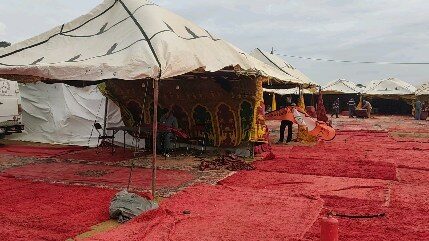 Instagram post from pandaraid24. This post is in position 14.